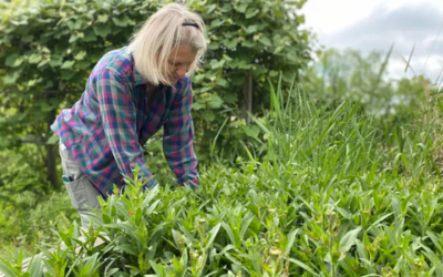 There is ‘Something for Everyone’ at This Year’s Battle Creek Garden Tour, July 20-21