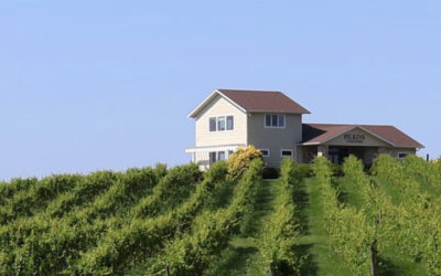 Rock Star Buys Michigan Vineyard and Winery